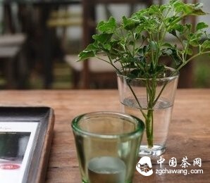 其实，每一泡茶都好