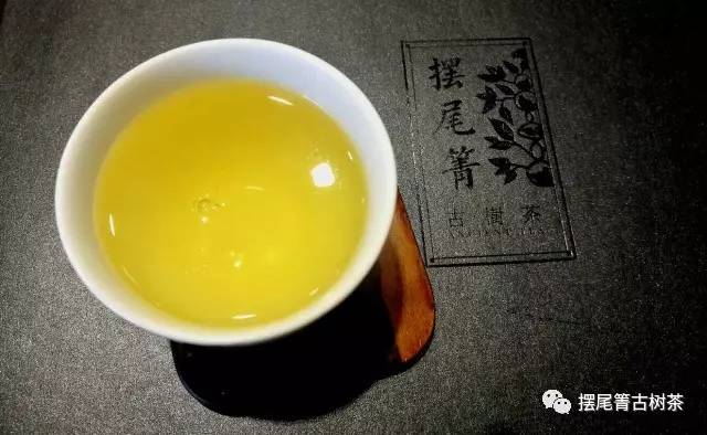 忙吗？这杯茶带你“慢”享生活