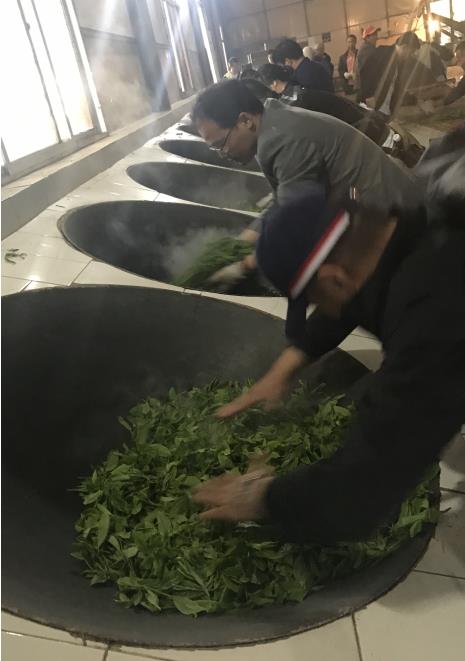 大圆普洱春茶时节“探秘普洱”重塑普洱价值