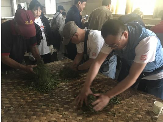 大圆普洱春茶时节“探秘普洱”重塑普洱价值