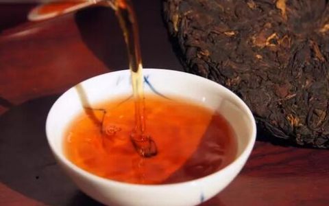 冬天，胃不好点喝黑茶