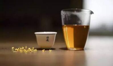 喝普洱茶禁忌及普洱茶的5个“死对头”