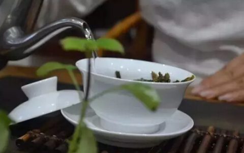 新手冲泡普洱茶的简易方法