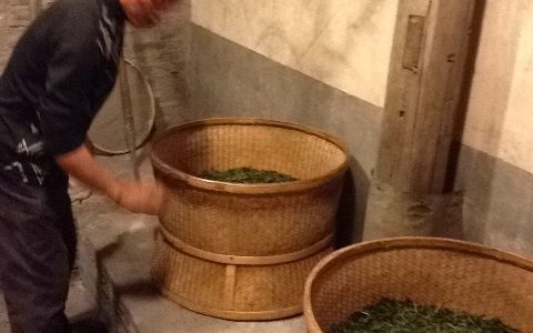 解读岩茶焙火中的几种火功类型