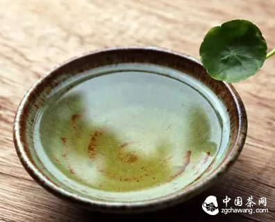 懂茶？不懂茶？有什么关系