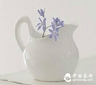 温一壶茶,与你浅浅品