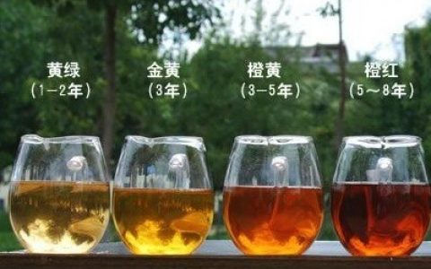 茶百科 · 看鉴普洱茶汤