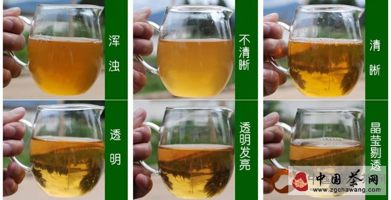 茶百科 · 看鉴普洱茶汤