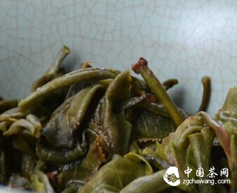 注水方式对茶汤品质的影响