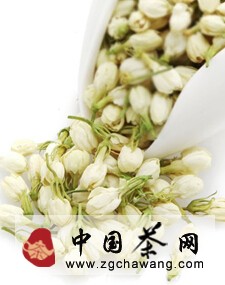 茉莉思乡（香）——茶人蒲