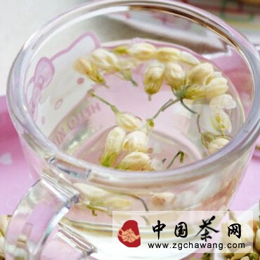 茉莉思乡（香）——茶人蒲