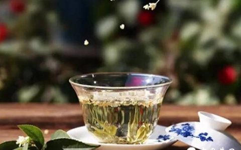 ❀6种胃应该喝普洱茶，其中有你吗？