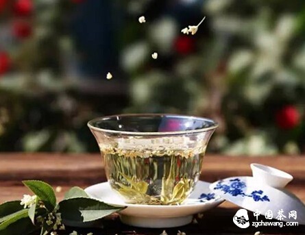 ❀6种胃应该喝普洱茶，其中有你吗？