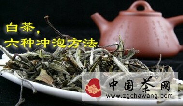 白茶的六种冲泡方式方法