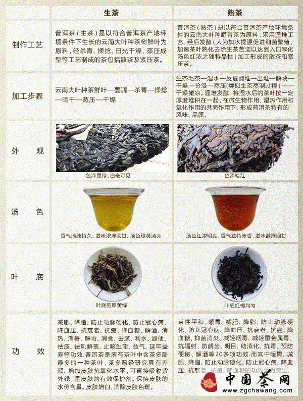 普洱茶生熟茶功效对比