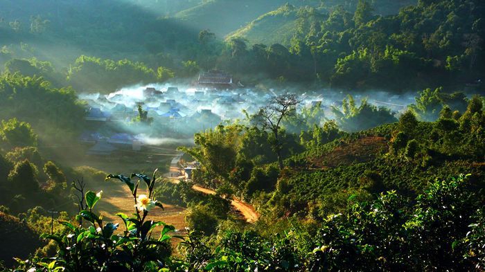 茶王节是勐海的节日，也是全中国茶人的节庆