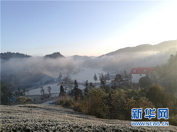 贵州：茶旅一体“造富”山区百姓