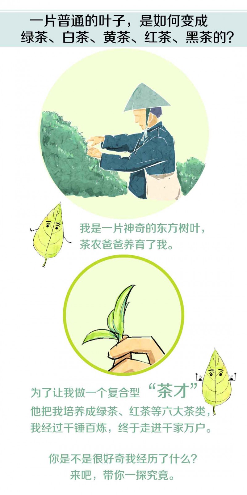 我们用一组漫画，带你秒懂一片树叶的大变身