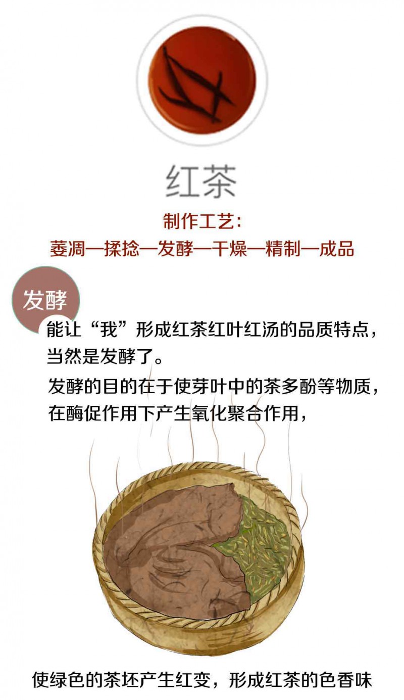 我们用一组漫画，带你秒懂一片树叶的大变身