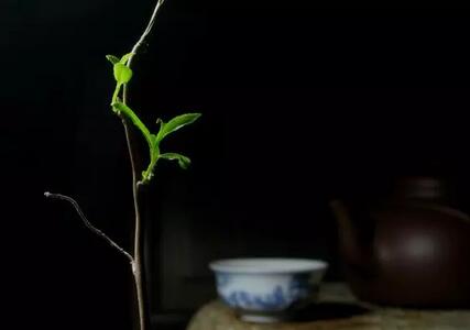 在时间里，煮一杯茶，品生活的香