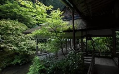 茶人 茶仙 茶奴