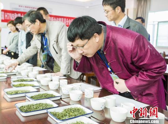 鄱阳湖产区40余茶商携产品“斗茶”争霸茶王