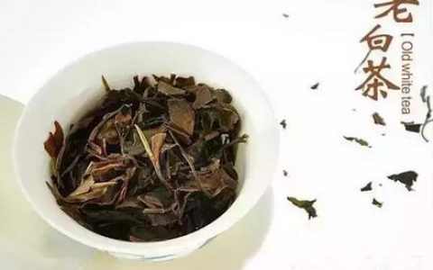 终于知道，他们为什么都喜欢喝老白茶了