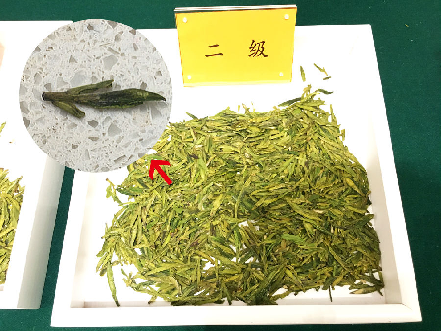 赶在明前茶上市前 浙江首次发布龙井茶“国标”实物