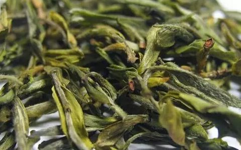 爱茶更要懂茶！为您支招——如何鉴别黄山毛峰茶的优劣