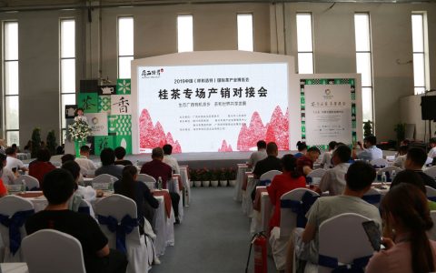 桂茶专场产销对接会签约金额超3500万元