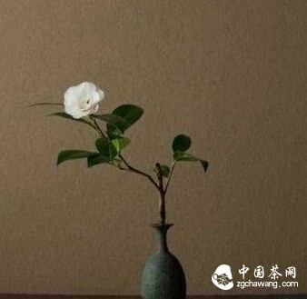 生活不只有茶还有花！学习茶室插花，添一抹花的姿态