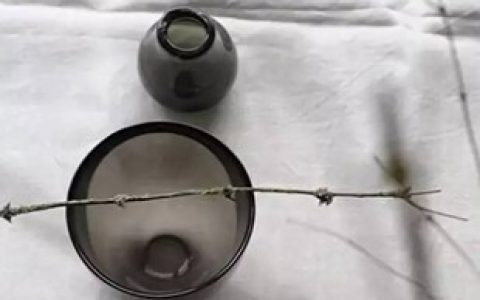 心无尘 静若禅茶！