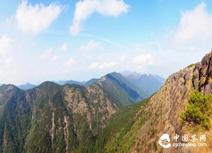 正山小种红茶史研究