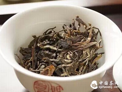 一盏茶香，一场邂逅