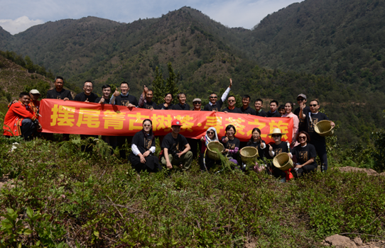 王维敏 | 意犹未尽的采茶之行，爱心传递的公益之旅