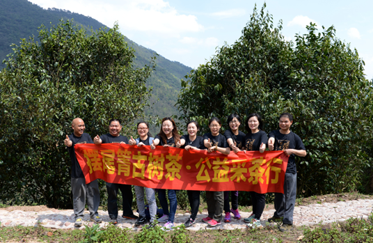 王维敏 | 意犹未尽的采茶之行，爱心传递的公益之旅