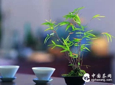 泡一壶茶，在秋天等你