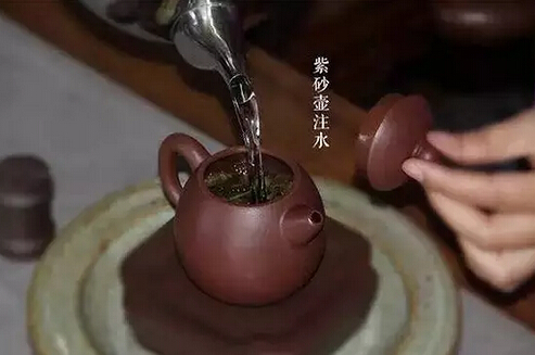 什么是醒茶，怎么醒？