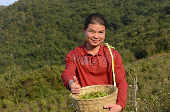 韦洪阳 | 以质朴茶心和孩子一起成长