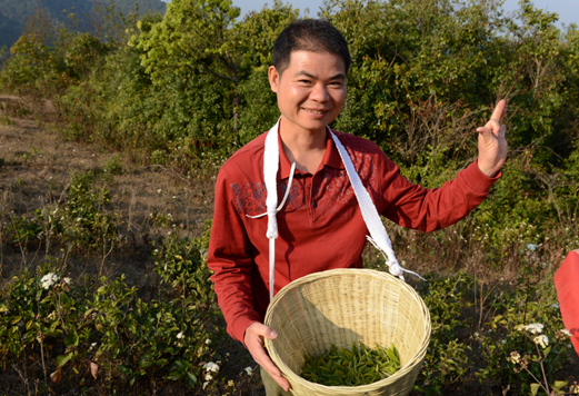 韦洪阳 | 以质朴茶心和孩子一起成长