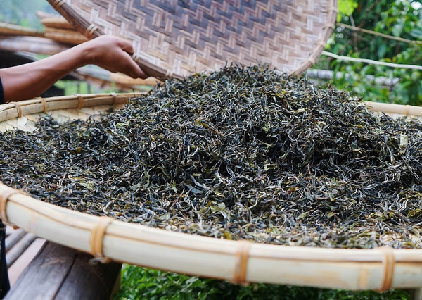 干茶,普洱茶