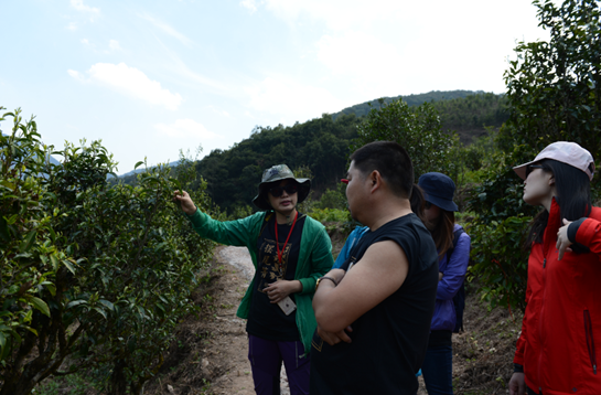 辛欣| 每年都如探亲式回归茶山记录茶山孩童们的笑脸