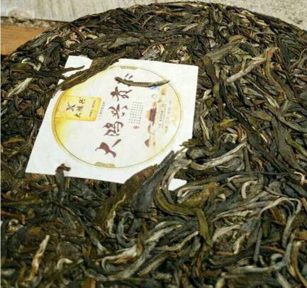 大鸿兴贡茶创始人倪龙彪： 心系贡茶发展 弘扬普洱茶文化