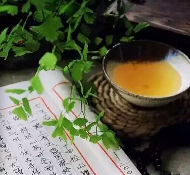 为什么茶会回甘？（深度解析）