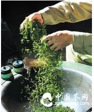 茶人必知六宗“最”！