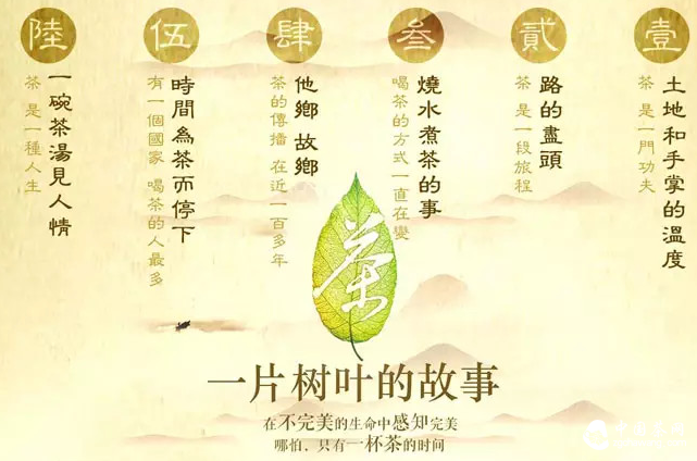 茶和水的关系，如此简单又如此复杂