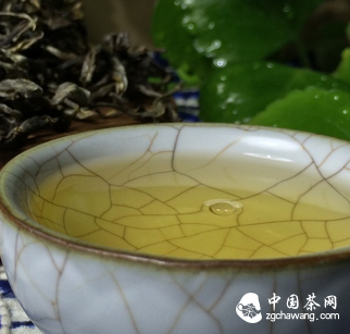 普洱茶一味 甘苦自知