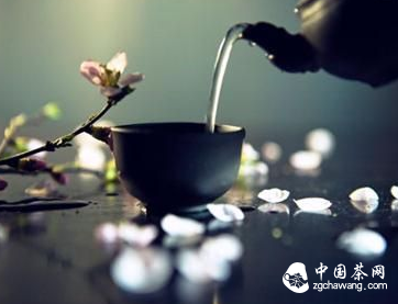 爱茶的多茶分子