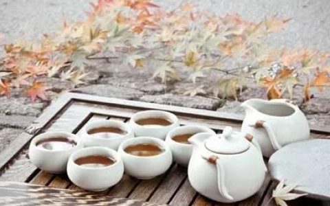一个茶人的自我修理——十个数字读懂茶