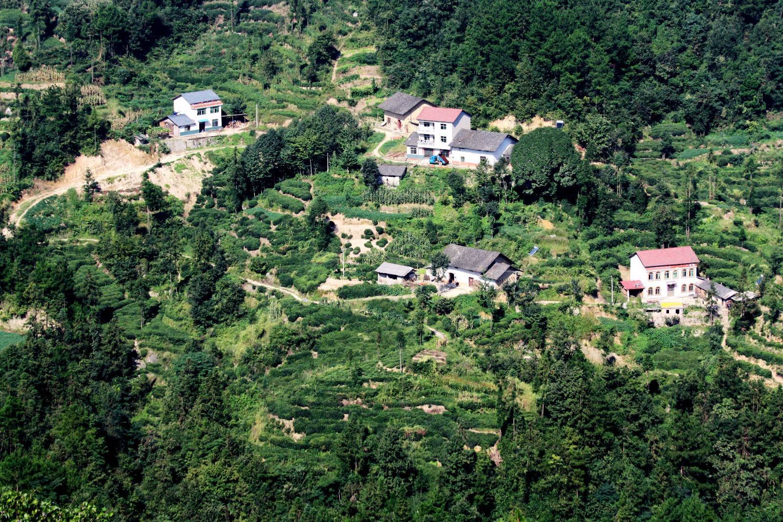 魅力茶乡！湖北宜昌夷陵区邓村获“世界茶旅小镇”